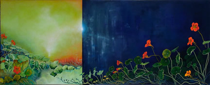 Nasturtium Nocturn