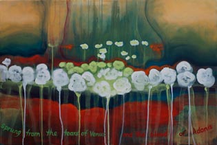 Wood Anemone